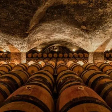 Studio L'instant Di'vin En Plein Coeur De Beaune.